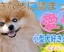 視聴率が上がるYouTubeのサムネイル作ります クリックしたくなるサムネイルを作成します！ イメージ3