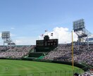 野球が上達するお手伝いします 初心者から高校球児まで誰でも！野球の相談お受けします！ イメージ1