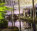 あなたの撮影した写真を編集します 周りと差が着くひと工夫!あなたの写真をワンランクアップ!! イメージ3