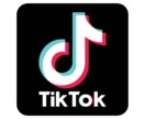 TikTokのマーケのコツを優しく教えます ０円マーケ術！ベンチャーで鍛えた格安マーケ！ イメージ1