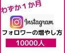 30日で0からフォロワー1万にした方法教えます インスタだけで生きる方法を数名だけに公開します！ イメージ1