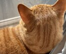 悩みや愚痴などなんでも話聞きます 24時間チャットで会話します。全部話して楽になってください。 イメージ1