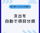 家計簿入力代行｜レシート写真→エクセル入力します 面倒な家計簿入力は丸投げでOK。時短×外注で貯まる家計習慣へ イメージ8
