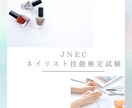 JNECネイリスト技能検定(3級or2級)教えます 現役JNA認定講師が検定の不安箇所のご質問にお答えします！ イメージ1