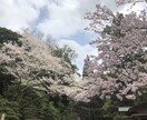 学業なんでもお話し聞きします 一人で抱え込まずお気軽にお声掛けください イメージ1
