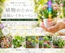あなたの大切な植物ヒーリングします 生花、多肉植物、観葉植物、ハーブ、鉢植えの花、野菜ヒーリング イメージ1