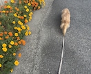 愚痴、不安な気持ちを傾聴します 気持ちを一人でそっと抱えていませんか。 イメージ1