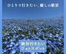 見やすく、分かりやすく。世界観を大切にします 情報を整理し、配置と余白を整え、目に止まるバナーを作ります イメージ8