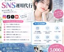 SNSを1ヶ月運用代行します 投稿・アカウント運用をサポートします イメージ2