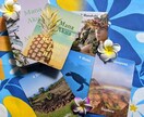 期間限定　10名様　マナアクアカード♡セラピーます hawaiiのエッセンスが詰まったマナアクアカード イメージ6