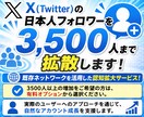Xの日本人フォロワーを3500人まで拡散します Twitter 既存ネットワークを活用した認知拡大サービス！ イメージ6