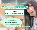高校生の数学のオンライン家庭教師をします プロの指導で一人ひとりの学習のお困りに寄り添います♪ イメージ1