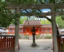 白龍の霊視｜恋愛・仕事・人間関係の進む道をみます 恋愛・仕事・人間関係・・白龍の光があなたの進む道を示します イメージ4