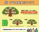 ファミリーツリー　プレゼント用家系図を作成します ご家族へ感謝を伝えるきっかけに イメージ4