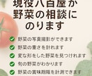 現役八百屋が野菜の相談にのります SNS用の野菜写真やデータを提供します イメージ1