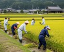 営業リスト【農業・林業】をご提供します 見込み客の質で売上は変わる。高精度営業リスト イメージ1