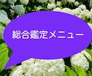 気になっている事、霊視＆タロットで視ます 人間関係、お仕事、お相手のお気持ちなど、鑑定します。 イメージ1
