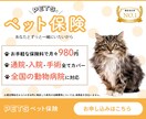 修正無制限！女性の心を掴むweb画像制作します バナー・ヘッダー・SNS画像・商品画像などお任せください◎ イメージ4