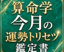 今月の運勢と開運行動を詳しくお伝えします 毎月の運気を味方につける行動戦略レポート イメージ1