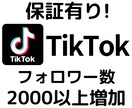 TikTokのフォロワー数を増やします ＋2000人増加、アカウントの価値やイメージ向上に イメージ1