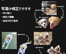 ウチの子アイコン 作ります 「ウチの子アイコン ネオンver. 」 イメージ2