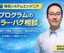 現役SEがプログラムのエラー・バグ相談に乗ります 現役システムエンジニアがバグ・エラー原因をアドバイスします イメージ1