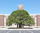 京大卒の元塾講師が、数学を教えます 具体的な問題の解法、数学に関するお困りごとに対して回答します イメージ1