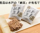 ８.リハビリ教材を提案します 様々なバリエーション！明日からすぐに使える！ イメージ6