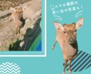 画像・イラストの切り抜き作業致します 画像を必要な形に切り抜きます！白背景・色背景変更可 イメージ4