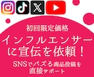 インフルエンサーPR投稿のキャスティングができます SNSでのバズ創出【2025年9月〜 ココナラスタート 】 イメージ1