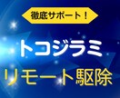 トコジラミリモート駆除：自力駆除できるよう導きます 親身なヒアリングであなたにあった駆除プランで一緒に駆除へ イメージ1