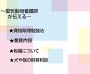 愛玩動物看護師が相談のります 愛玩動物看護師を目指す人、犬や猫の飼育相談 イメージ1