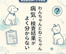 犬猫の病気・検査結果をやさしく解説します 病院で聞きそびれた疑問を整理し、次の一歩を明確に  イメージ1