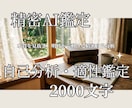 精密AI鑑定士が本質を見抜きます ホロスコープが教えるあなただけの説明書 イメージ1