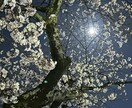 つらい、苦しい、逃げたいなどの気持ちに寄り添います あなたの思いを言葉にし、やさしく理解を支えます。 イメージ2