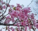 綺麗な風景の写真を素材提供いたします 壁紙やロック画面、アイコン、ヘッダー等でお楽しみください イメージ10