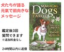 マジカルドッグスタロットで占います カードに描かれた犬たちが、率直なメッセージを伝えてくれます イメージ1