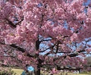 ヒーリングの上位互換【龍神運命調律】致します 龍神の力で宿命を書き換える！四柱推命による究極の運命調律施術 イメージ3