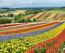 貴方の国内旅行プランを見やすくおまとめします ＼2025年8月末まで価格／国家資格あり＆旅行会社8年勤務！ イメージ2