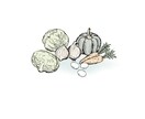 美味しそうな食べ物のイラスト手描きで描きます メニューやチラシなど、食べたくなるようなイラストどうぞ イメージ7