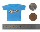 あなただけのオリジナルミニチュアTシャツを作ります 世界に１つしかない、かわいいTシャツを作ります♪ イメージ6