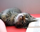 10ページまで【紙→データ】画像からデータ作ります 画像を読み込んで【OCR】文字データ化します！ イメージ3
