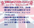 脳科学者がIELTS対策イギリス英語発音を教えます IELTS攻略・聞き取りとスピーキングの王道は発音にあり！ イメージ6