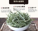 Instagramインスタ用広告投稿画像作成します ただのオシャレで終わらせない！成果につながる画像制作 イメージ5