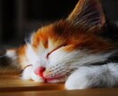 パニック障害が９割以上の確率で治ります 私も実際に治り、９割以上の方にも効果があった方法です イメージ5