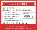 アドバイス特典付！ピンタレストの運用代行いたします 丸投げOK！ブログ集客コンサルタントに投稿をお任せください♪ イメージ8