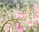思念伝達いたします あの人に想いを伝えたい！夢に見て潜在意識を変えてほしい！ イメージ1