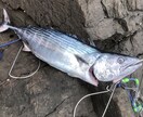 釣り初心者の方、お困り事を究極解決いたします 釣り初心者！釣り始めたい方が使うアドバイザー イメージ4