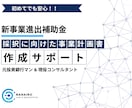 新事業進出補助金の事業計画書を作成します 【コンサル x 投資銀行出身者】短納期で高品質な事業計画書 イメージ1