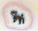 アニマルオーラリーディング　承ります 動物さんのオーラから現在の健康状態や使命を読み解きます イメージ2